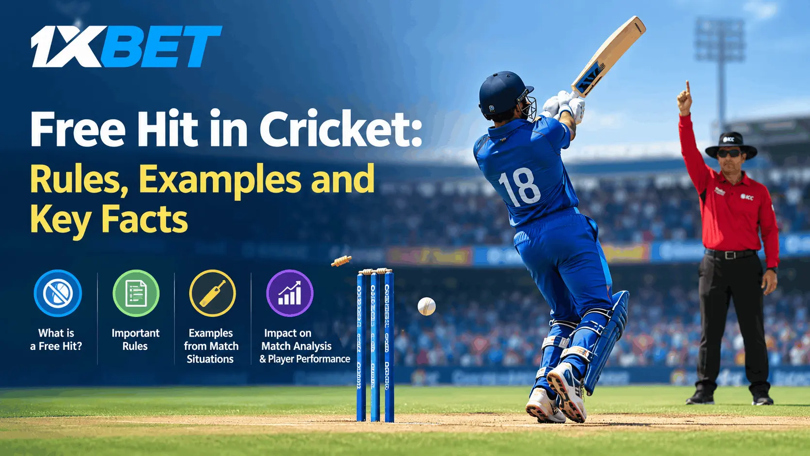 Free Hit in Cricket